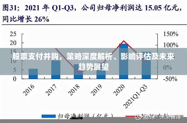 股票支付并購，策略深度解析、影響評估及未來趨勢展望