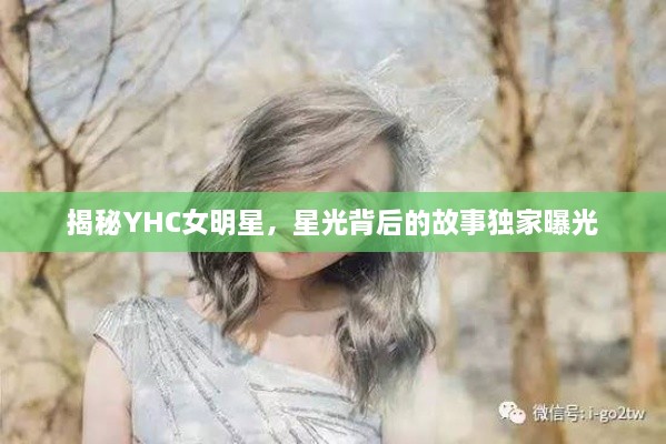 揭秘YHC女明星，星光背后的故事獨家曝光