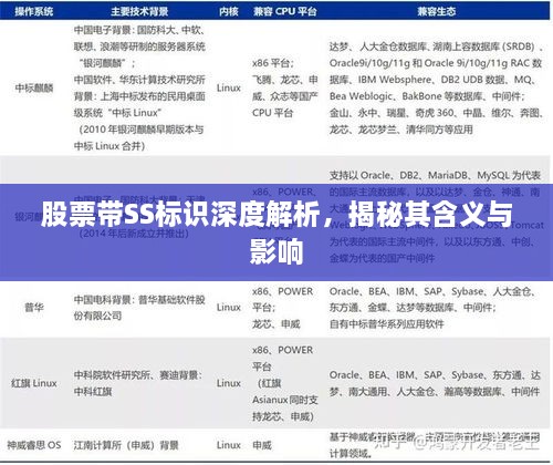 股票帶SS標識深度解析，揭秘其含義與影響