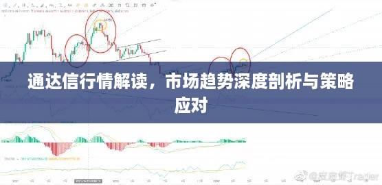 通達信行情解讀，市場趨勢深度剖析與策略應(yīng)對