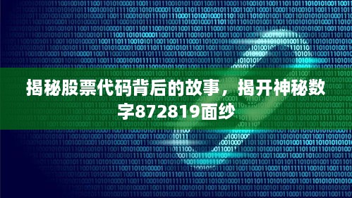 揭秘股票代碼背后的故事，揭開(kāi)神秘?cái)?shù)字872819面紗