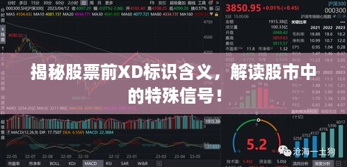 揭秘股票前XD標(biāo)識(shí)含義，解讀股市中的特殊信號(hào)！