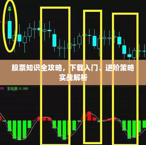 股票知識全攻略，下載入門、進階策略實戰(zhàn)解析