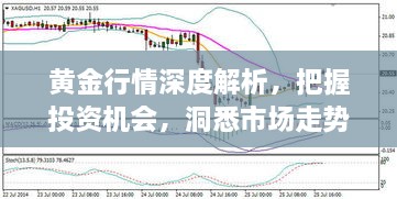 黃金行情深度解析，把握投資機會，洞悉市場走勢