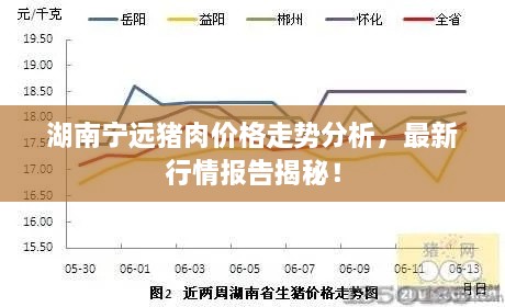 湖南寧遠豬肉價格走勢分析，最新行情報告揭秘！