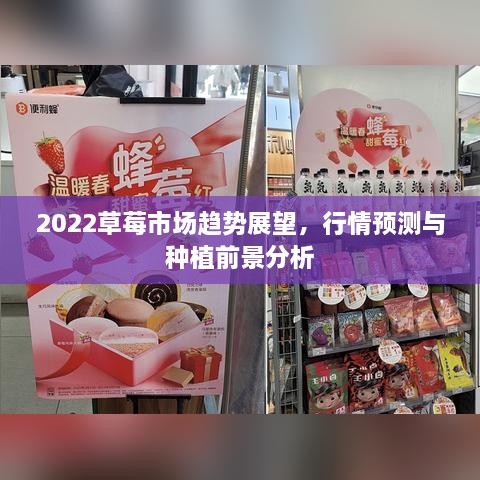 2022草莓市場(chǎng)趨勢(shì)展望，行情預(yù)測(cè)與種植前景分析