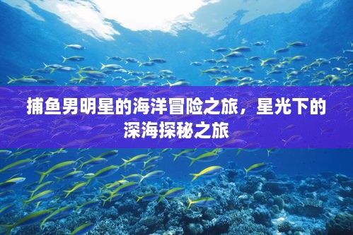 捕魚男明星的海洋冒險(xiǎn)之旅，星光下的深海探秘之旅