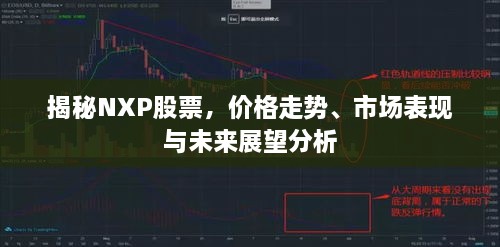 揭秘NXP股票，價格走勢、市場表現(xiàn)與未來展望分析