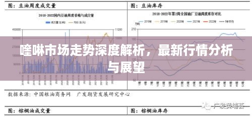 喹啉市場走勢深度解析，最新行情分析與展望