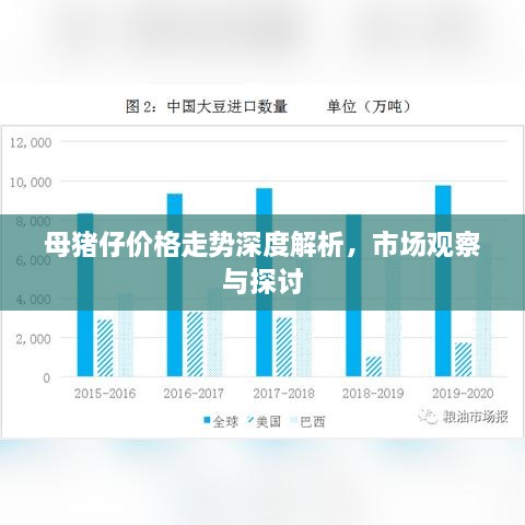 母豬仔價(jià)格走勢深度解析，市場觀察與探討