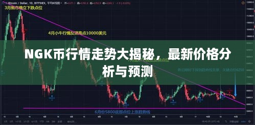 NGK幣行情走勢大揭秘，最新價格分析與預測