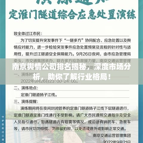 南京輿情公司排名揭秘，深度市場分析，助你了解行業(yè)格局！