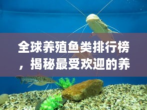 全球養(yǎng)殖魚類排行榜，揭秘最受歡迎的養(yǎng)殖魚類種類！