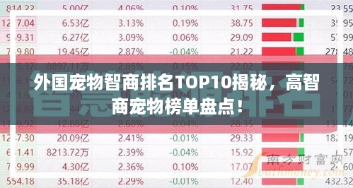 外國寵物智商排名TOP10揭秘，高智商寵物榜單盤點(diǎn)！