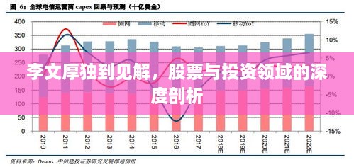 李文厚獨(dú)到見解，股票與投資領(lǐng)域的深度剖析