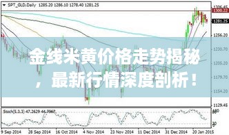 金線米黃價格走勢揭秘，最新行情深度剖析！