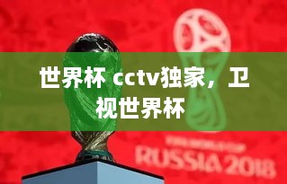 世界杯 cctv獨(dú)家，衛(wèi)視世界杯 