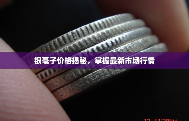 銀毫子價(jià)格揭秘，掌握最新市場(chǎng)行情