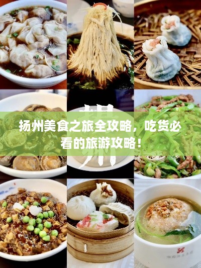 揚(yáng)州美食之旅全攻略，吃貨必看的旅游攻略！