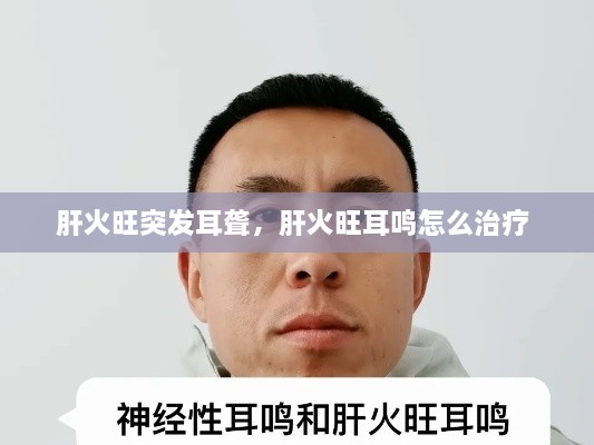 肝火旺突發(fā)耳聾，肝火旺耳鳴怎么治療 