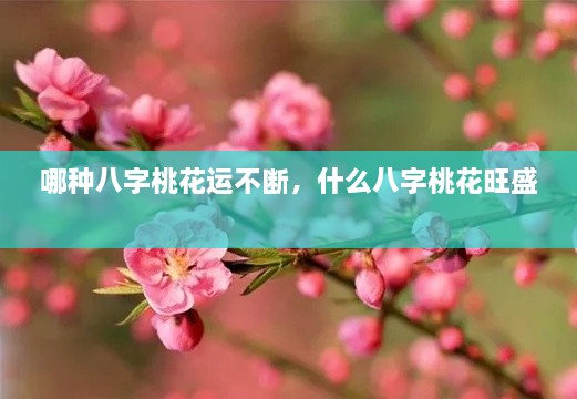 哪種八字桃花運(yùn)不斷，什么八字桃花旺盛 