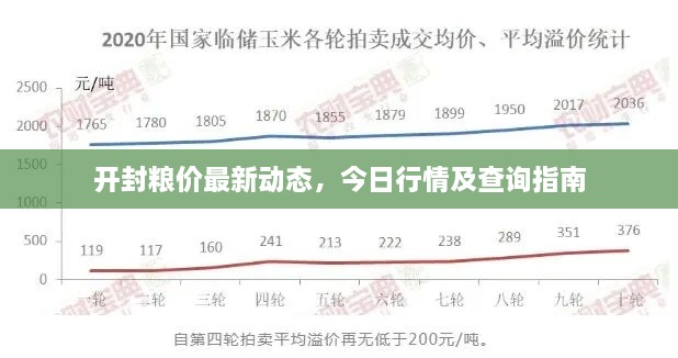 開封糧價最新動態(tài)，今日行情及查詢指南