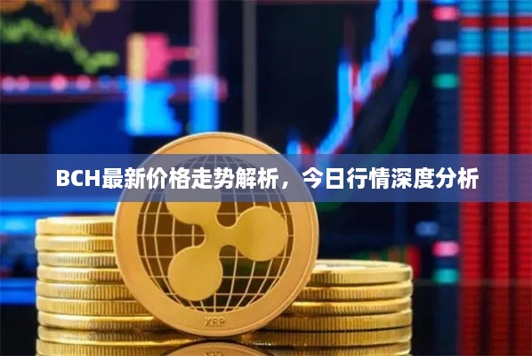 BCH最新價格走勢解析，今日行情深度分析