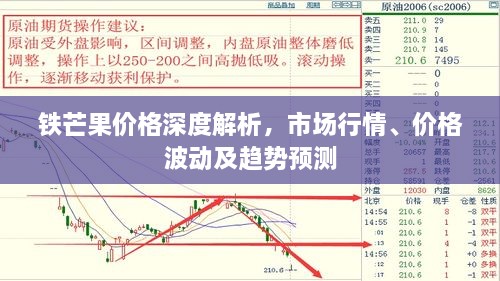 鐵芒果價格深度解析，市場行情、價格波動及趨勢預(yù)測