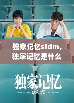 獨家記憶stdm，獨家記憶是什么意思 