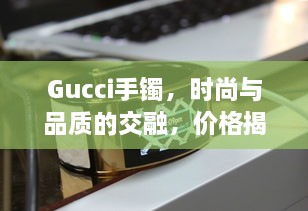 Gucci手鐲，時(shí)尚與品質(zhì)的交融，價(jià)格揭秘！