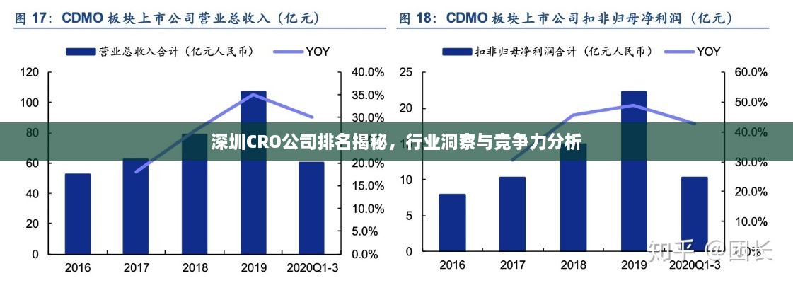 深圳CRO公司排名揭秘，行業(yè)洞察與競(jìng)爭(zhēng)力分析