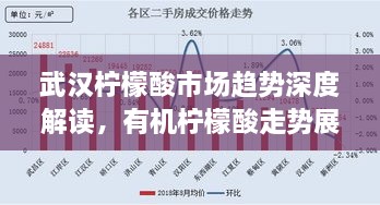 武漢檸檬酸市場趨勢深度解讀，有機檸檬酸走勢展望