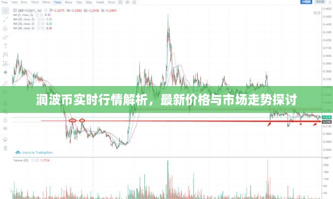 潤波幣實時行情解析，最新價格與市場走勢探討