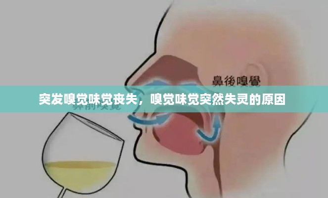 突發(fā)嗅覺味覺喪失，嗅覺味覺突然失靈的原因 