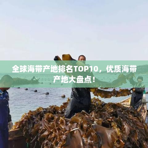 全球海帶產(chǎn)地排名TOP10，優(yōu)質(zhì)海帶產(chǎn)地大盤點(diǎn)！