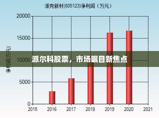 派爾科股票，市場矚目新焦點(diǎn)