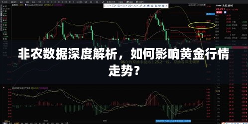 非農(nóng)數(shù)據(jù)深度解析，如何影響黃金行情走勢(shì)？