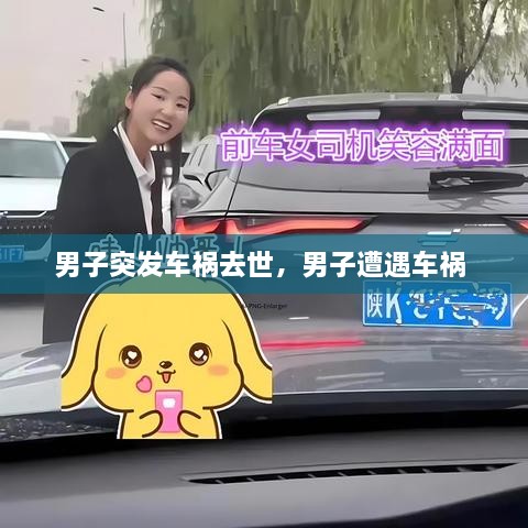 男子突發(fā)車禍去世，男子遭遇車禍 