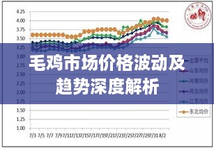 毛雞市場價格波動及趨勢深度解析