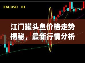 江門罐頭魚價格走勢揭秘，最新行情分析