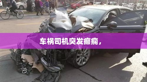 車禍司機突發(fā)癲癇， 