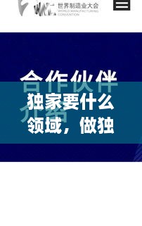 獨家要什么領域，做獨家代理有什么要求 