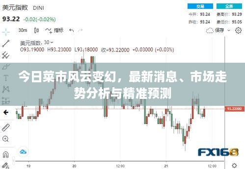 今日菜市風云變幻，最新消息、市場走勢分析與精準預測