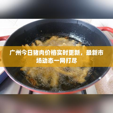 廣州今日豬肉價格實時更新，最新市場動態(tài)一網打盡