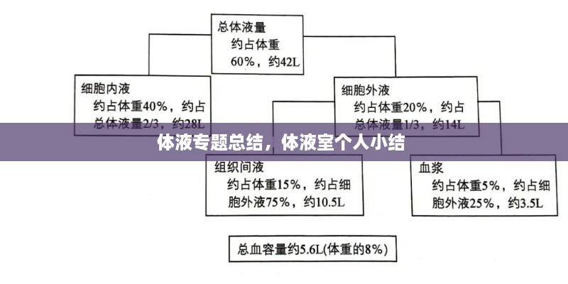 體液專題總結(jié)，體液室個(gè)人小結(jié) 