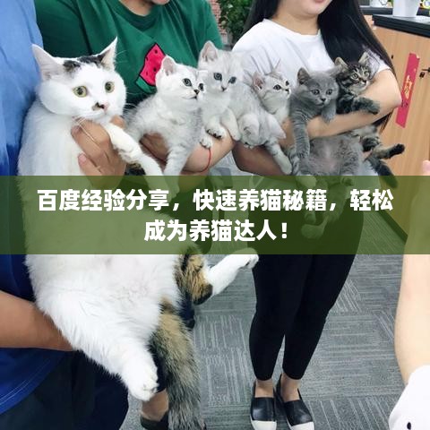 百度經(jīng)驗(yàn)分享，快速養(yǎng)貓秘籍，輕松成為養(yǎng)貓達(dá)人！