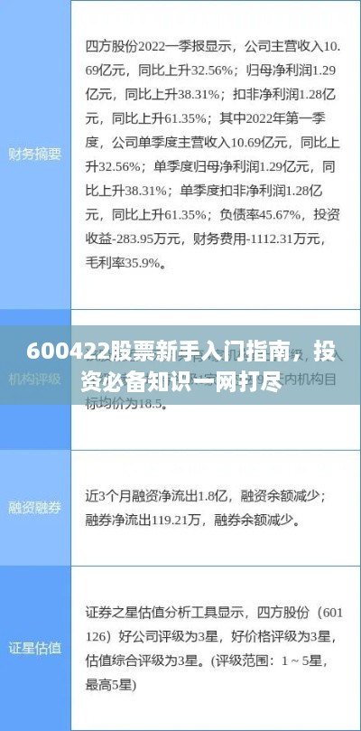 600422股票新手入門指南，投資必備知識(shí)一網(wǎng)打盡
